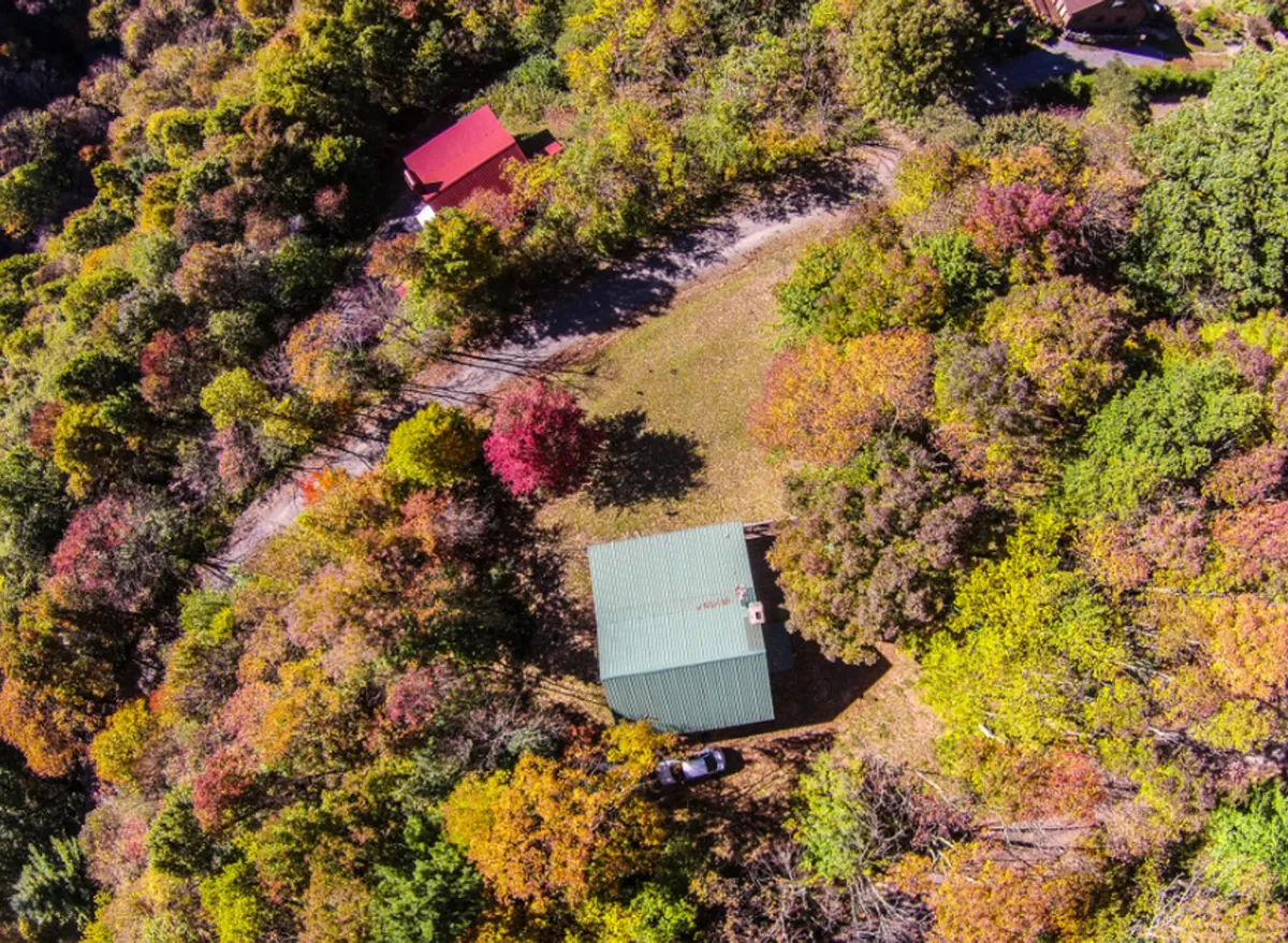 A green-roofed house and a bright red shed are surrounded by tall, leafy trees, creating an inviting and tranquil atmosphere. The outdoor setting hints at the possibilities for hiking, bird watching, and enjoying the vibrant foliage throughout the seasons.
