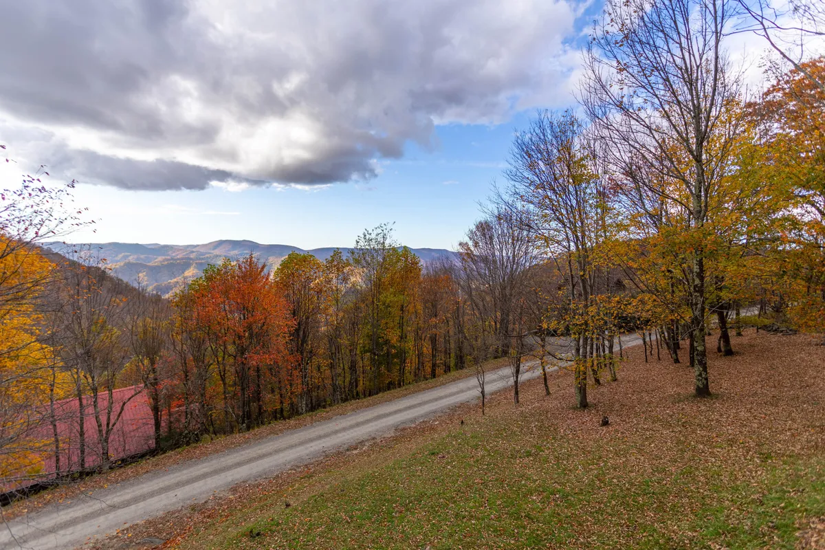 A scenic view of a gravel road lined with brilliant autumn foliage, leading toward distant blue mountains. The image evokes a sense of journey and the thrill of exploring seasonal changes in the High Country.